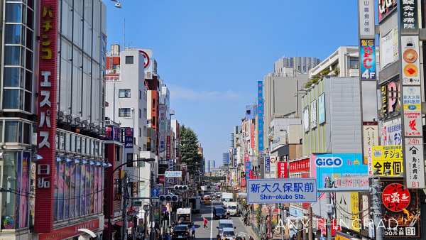 Tokyo in Spring: Disney Sea, Cherry Blossoms & Favorite Neighborhoods